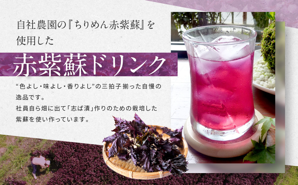 【土井志ば漬本舗】京都大原ちりめん赤紫蘇ジュース 180ml×20本入り｜赤紫蘇ジュース ドリンク 人気セット［ ちりめん赤紫蘇 しそジュース 老舗 ストレートで飲める 炭酸割り お土産 贈答 人気 おすすめ お取り寄せ 通販 送料無料 ふるさと納税 ］