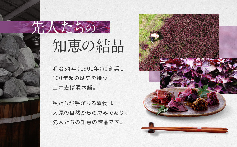 【土井志ば漬本舗】人気の漬物・旬の漬物5種5点詰め合わせ RL30(秋冬)｜京都大原 老舗 有名店 食べ比べ［ 千枚漬 はんなり漬白菜 はんなり漬きゅうり 志ば漬きざみ はりはり漬 5種5点 人気セット おすすめ 野菜 つけもの ギフト プレゼント 贈答 お取り寄せ 通販 送料無料 ふるさと納税 ］