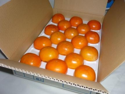 【京都市農協 大枝支部】＜令和7年11月中旬～発送＞大枝冨有柿（Mサイズ 18個）