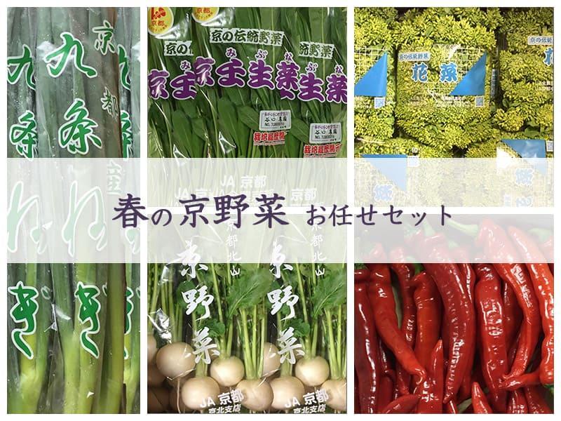 【京野菜・果物 美方屋】創業70年 美方屋厳選！季節の京野菜お任せセット