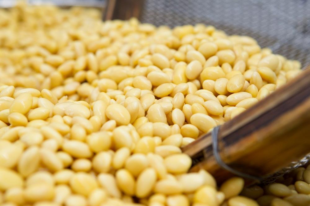 【清水五条坂ゆば泉】食感の良い「つくり湯葉」を含む3点セット