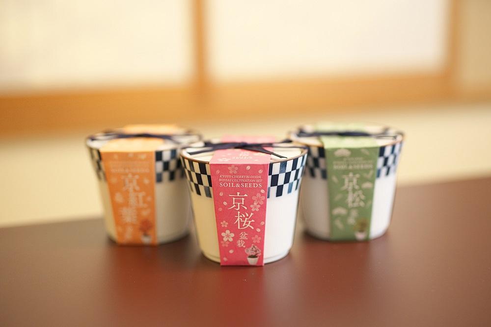 【京都花室 おむろ】京都小鉢（ミニ盆栽）種栽培セット 京桜・京紅葉・京松