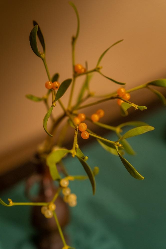 【香道 三品大枝流】香道のお手前体験（120分）