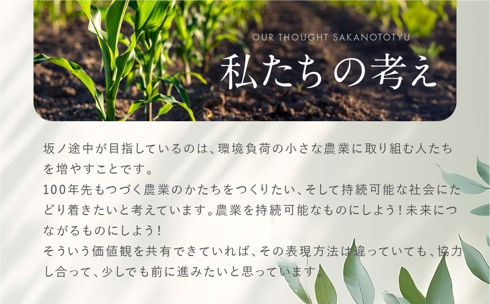 【坂ノ途中 海ノ向こうコーヒー】ドリップバッグコーヒー 4種詰合せギフトセット〈20個入〉［ 京都 珈琲 ブランド ドリップコーヒー 人気 おすすめ 珈琲 コーヒー ギフト プレゼント 贈答 お取り寄せ 通販 送料無料 ふるさと納税 ］