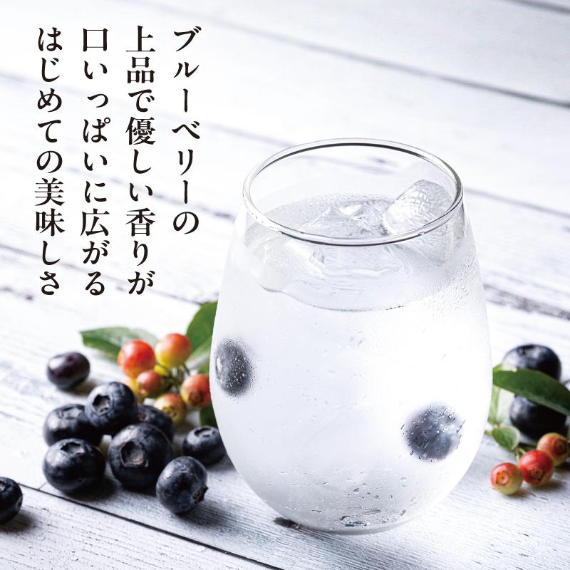 【わかさ生活】ブルーベリードライジン「Berry&Berry」700ml×1本 アルコール度数45度［ 京都 サプリ ブルーベリーアイ 売上No.1 人気 おすすめ お酒 酒 アルコール ジン 健康 お取り寄せ 通販 ふるさと納税 ］
