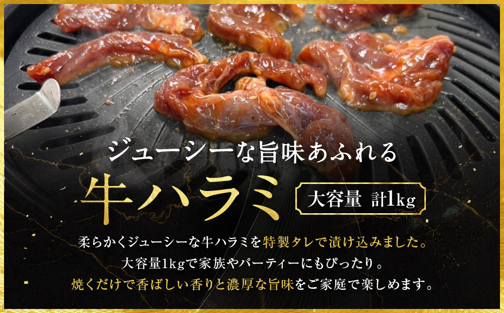 【エスイー】牛ジューシーハラミタレ漬け 500g×2パック 計1kg｜京都 食肉卸 自慢の肉質 牛ハラミ 人気セット 小分け［ 食肉卸の絶品ハラミ タレ漬け 小分け 便利 人気 おすすめ 肉 お肉 牛肉 焼肉 お取り寄せ 通販 送料無料 ふるさと納税 ]