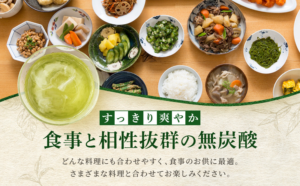 【宝酒造】宝焼酎の濃いお茶割り～カテキン２倍～（335ml×24本）［タカラ 京都 お酒 チューハイ 缶チューハイ 酎ハイ サワー お茶 人気 おすすめ 定番 おいしい ギフト プレゼント 贈答 ご自宅用 お取り寄せ ふるさと納税 ］