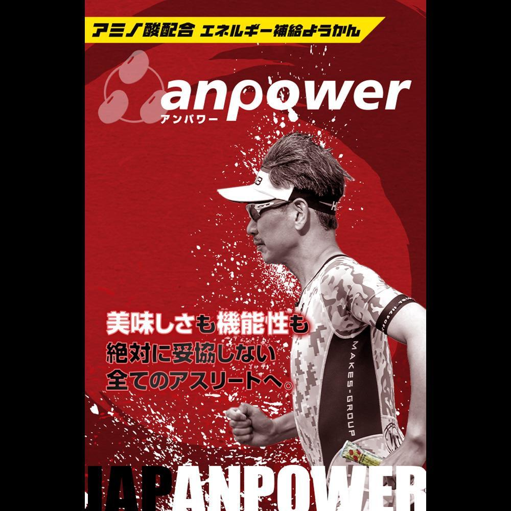 【鼓月】エネルギー補給羊羹 anpower 2箱（5本入×2）［ 京都 老舗 和菓子 千寿せんべい 有名店 スポーツ羊羹 人気 おすすめ お菓子 スイーツ 補給食 お取り寄せ 通販 ギフト プレゼント 贈答 ふるさと納税 ］