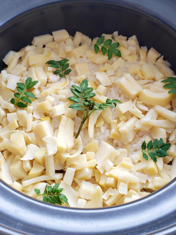 【 たけのこ旬一 】究極の筍ご飯『輝』