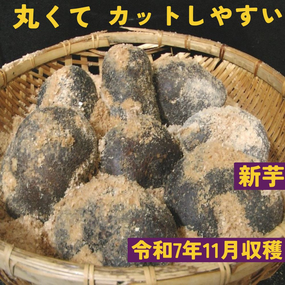 【芋家なか吉】丹波山の芋 種芋 3kg  食用でもOK/令和7年11月収穫［ 京都 芋 いも イモ 新鮮 野菜 栽培 人気 おすすめ お取り寄せ 通販 ふるさと納税 ］