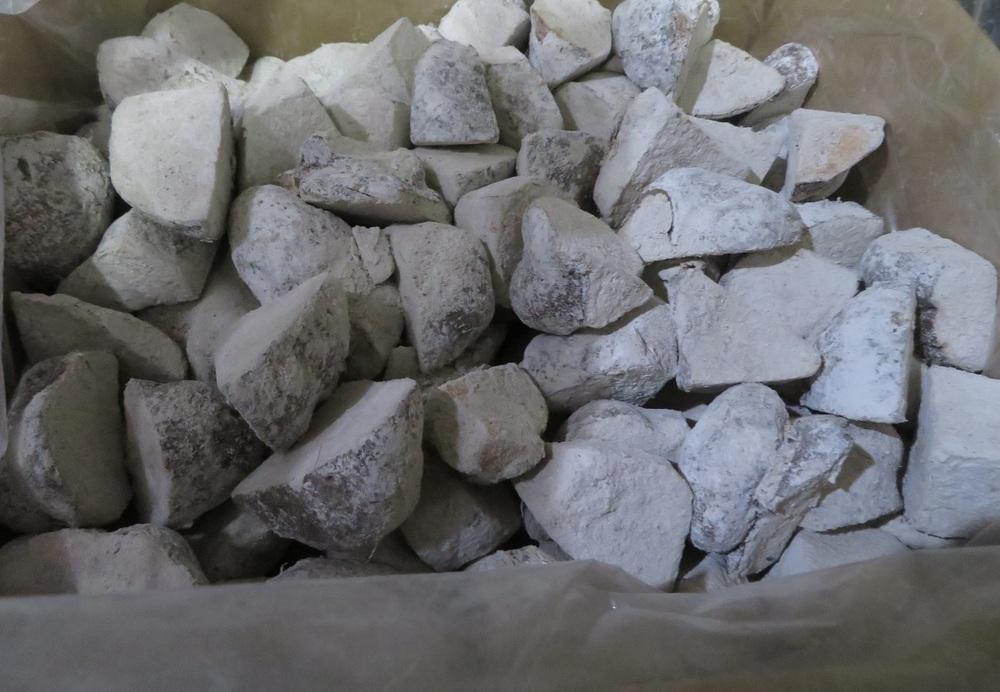 《先行予約》【芋家なか吉】後は植えるだけ カット種芋 1.5kg 丹波山の芋［ 京都 芋 いも イモ 新鮮 野菜 栽培 人気 おすすめ お取り寄せ 通販 ふるさと納税 ］