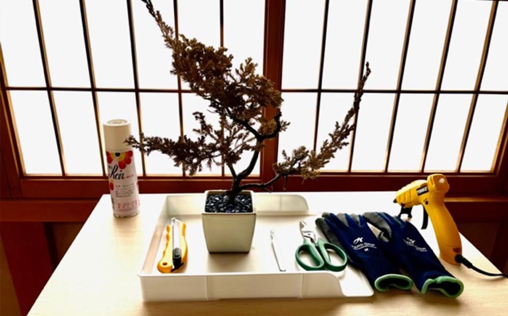 【ドライ盆栽】ギフト券 3,000円分（ワークショップ・作品購入に使用可能）