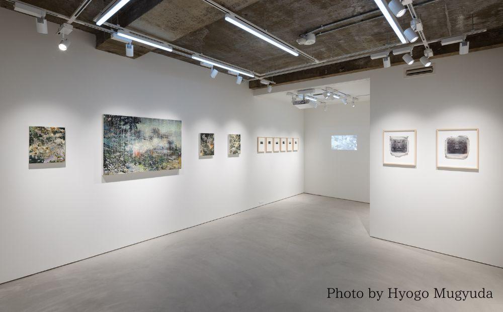 【hakari contemporary】Collectors Ticket - 30,000 JPY