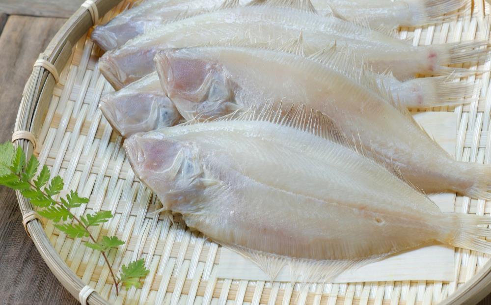 【津乃弥】一夜干しかれいセット(5枚)［ 京都 錦市場 海鮮珍味専門店 カレイ 干物 人気 おすすめ 海鮮 珍味 肴 惣菜 お取り寄せ 通販 送料無料 ふるさと納税 ］