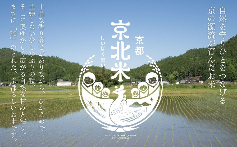 【50セット限定・新米先行受付】令和7年産 コシヒカリ 5kg 京都・京北米 精米 12～1月発送【京北水稲担い手協議会】［ 京都 京北産 コシヒカリ 先行予約 米 お米 人気 おすすめ こしひかり お取り寄せ 通販 送料無料 ふるさと納税 ］