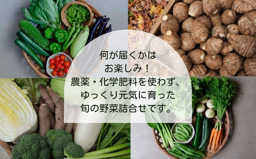 ＜定期便6回＞【よしだのはたけ】旬の野菜8品 やさいBOX｜京都 京北 農家直送 野菜 人気セット [ 旬のお野菜 新鮮 おまかせセット 美味しい 産地直送 野菜詰め合わせ 野菜セット 野菜定期便 人気 おすすめ ギフト プレゼント お取り寄せ 通販 送料無料 ふるさと納税 ]