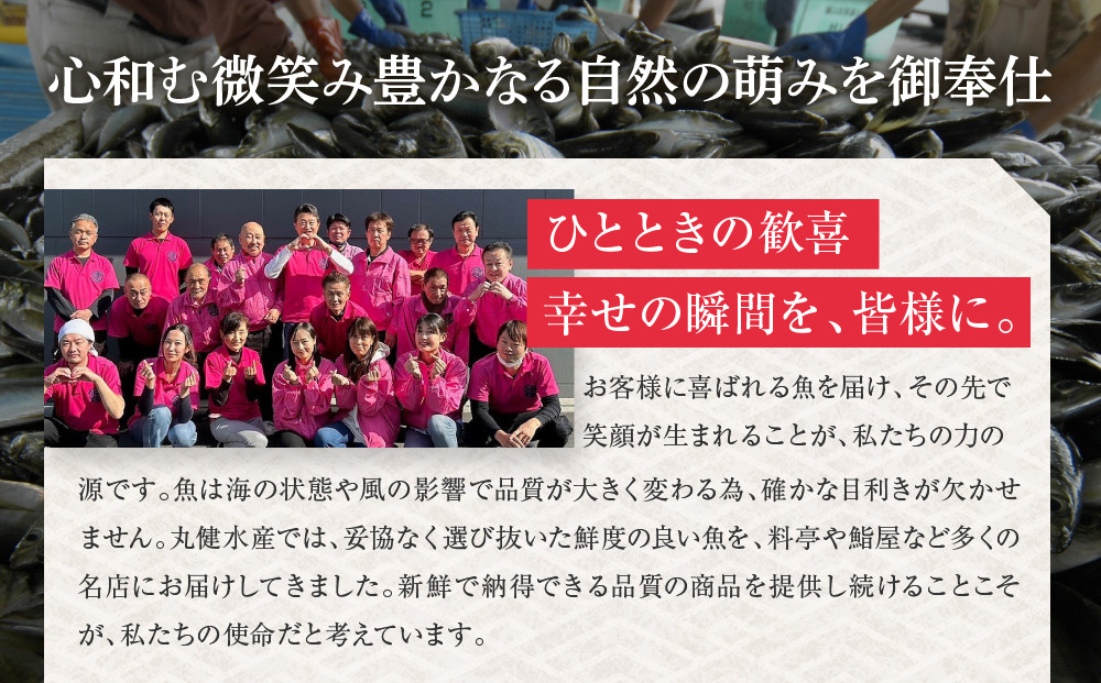 【まるけん水産】本鮪の甘露煮 300g×3袋[ 京都 おつまみ 丸健水産 京都中央卸売市場 本マグロ 甘露煮 角煮 人気 おすすめ 珍味 希少部位 おいしい お取り寄せ 通販 送料無料 ふるさと納税 ]