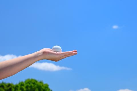 【山川製陶所】想久の石珠　生前のペットの姿の絵付あり(新しいペット供養のカタチ)