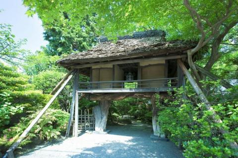 【山ばな平八茶屋】ペアランチチケット「千鳥（ちどり）」