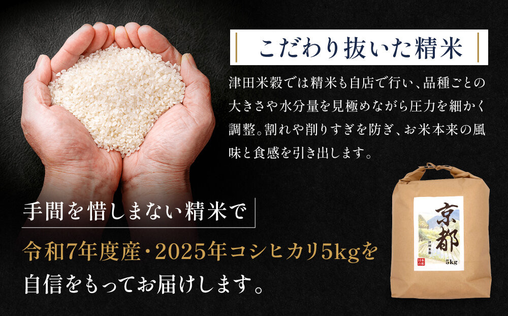 【津田米穀】五つ星お米マイスター監修 藤野さんが育てたコシヒカリ 5kg｜令和7年度産コシヒカリ 白米 こだわり抜いた精米 人気［ コシヒカリ お米本来の風味と食感 おすすめ グルメ おいしい コメ お取り寄せ 通販 送料無料 ふるさと納税 ］