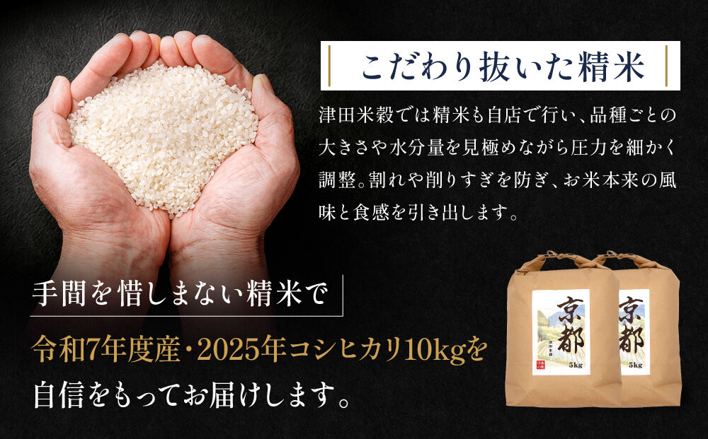 【津田米穀】五つ星お米マイスター監修 藤野さんが育てたコシヒカリ 10kg｜令和7年度産コシヒカリ 白米 こだわり抜いた精米 人気［ コシヒカリ お米本来の風味と食感 おすすめ グルメ おいしい コメ お取り寄せ 通販 送料無料 ふるさと納税 ］