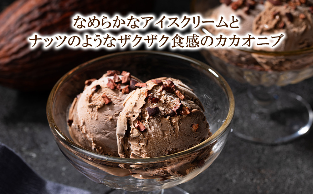 【高島屋選定品】＜dari K(ダリケー）＞ザクザク食感のカカオニブチョコレートアイス（8個セット）［ 京都 チョコレート カカオを通して世界を変える 濃厚 チョコ アイス 人気 おすすめ お菓子 洋菓子 スイーツ ギフト プレゼント お取り寄せ 通販 送料無料 ふるさと納税 ］