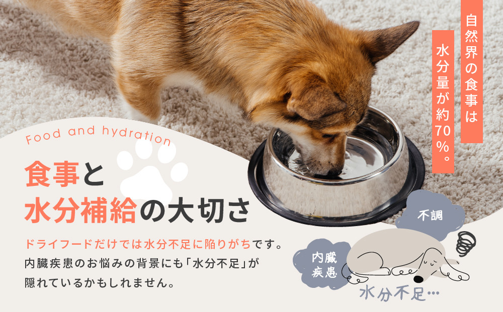 【MANMA BUONO】犬の手作りごはん お試しAセット3種｜京都 ペットフード ブランド 有名 人気ペットフード［ 愛犬の健康を支える ペーットフード 3種 人気セット こだわり 美味しい 栄養 ごはん 食事 人気 おすすめ お取り寄せ 通販 送料無料 ふるさと納税 ］