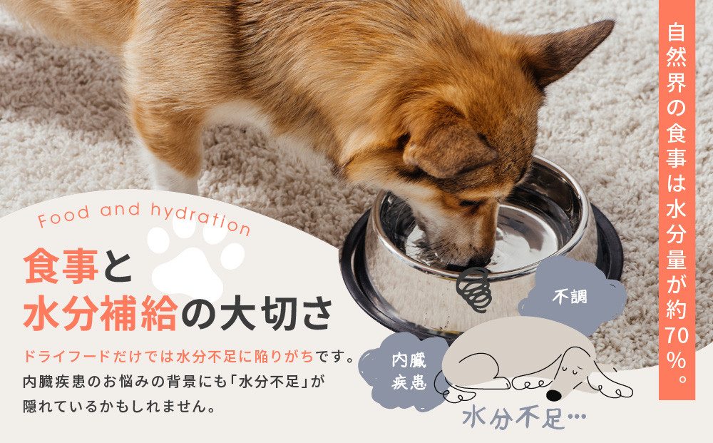 【MANMA BUONO】犬の手作りごはん お試しBセット5種｜京都 ペットフード ブランド 有名 人気ペットフード［ 愛犬の健康を支える ペーットフード 5種 人気セット こだわり 美味しい 栄養 ごはん 食事 人気 おすすめ お取り寄せ 通販 送料無料 ふるさと納税 ］