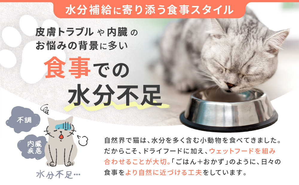 【MANMA BUONO】猫の手作りごはん お試しBセット4種｜京都 ペットフード ブランド 有名 人気ペットフード［ 愛猫の健康を支える ペーットフード 4種 人気セット こだわり 美味しい 栄養 ごはん 食事 人気 おすすめ お取り寄せ 通販 送料無料 ふるさと納税 ］