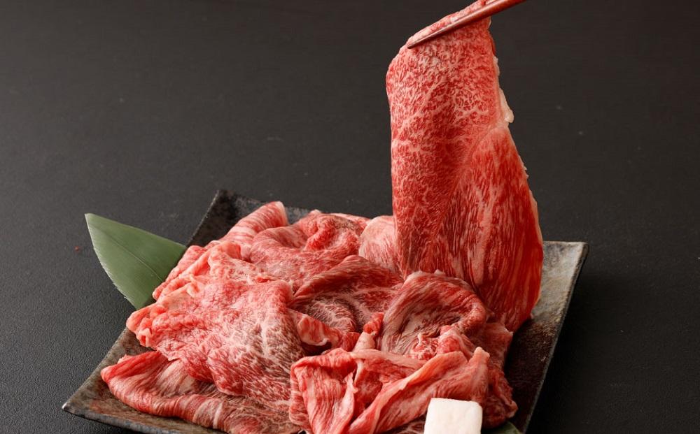 【京都モリタ屋】京の逸品！京都肉 切落とし 500g［ 明治2年創業 京都初 牛肉専門店 有名店 高品質 和牛 切り落とし 人気 おすすめ グルメ お肉 牛肉 ブランド牛 京都肉 お取り寄せ 通販 送料無料 ふるさと納税 ］  
