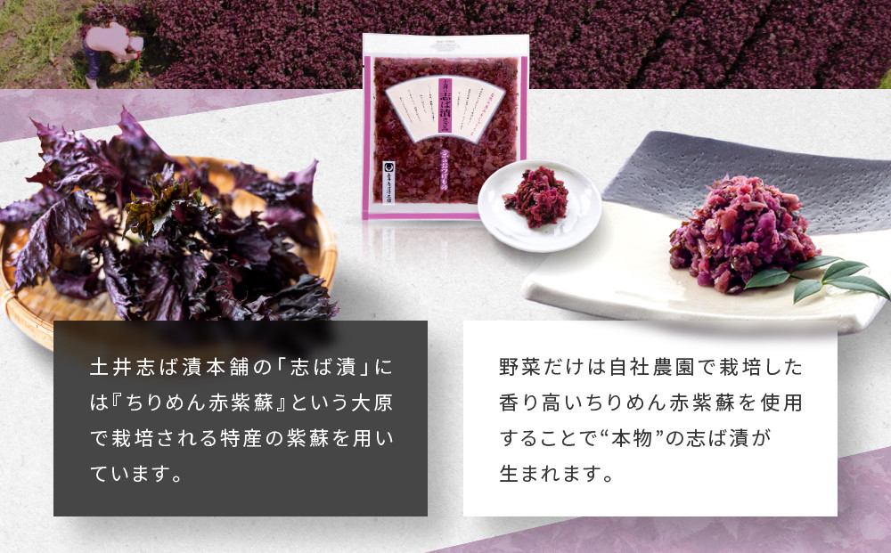 志ば漬きざみ2袋 LLP｜京都 老舗 土井 有名店 しば漬 漬物 人気セット［ 京都 大原 土井志ば漬本舗 しば漬 茄子 きゅうり みょうが お土産 贈答 人気 おすすめ 野菜 漬物 つけもの ギフト プレゼント お取り寄せ 通販 送料無料 ふるさと納税 ］