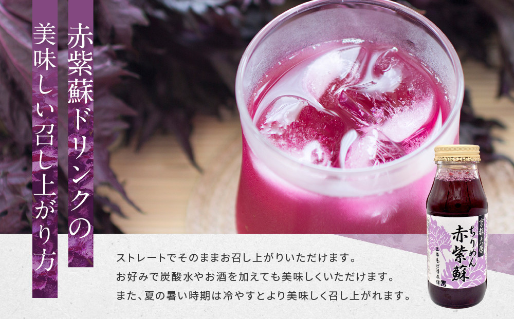 【土井志ば漬本舗】京都大原ちりめん赤紫蘇ジュース 180ml×20本入り｜赤紫蘇ジュース ドリンク 人気セット［ ちりめん赤紫蘇 しそジュース 老舗 ストレートで飲める 炭酸割り お土産 贈答 人気 おすすめ お取り寄せ 通販 送料無料 ふるさと納税 ］