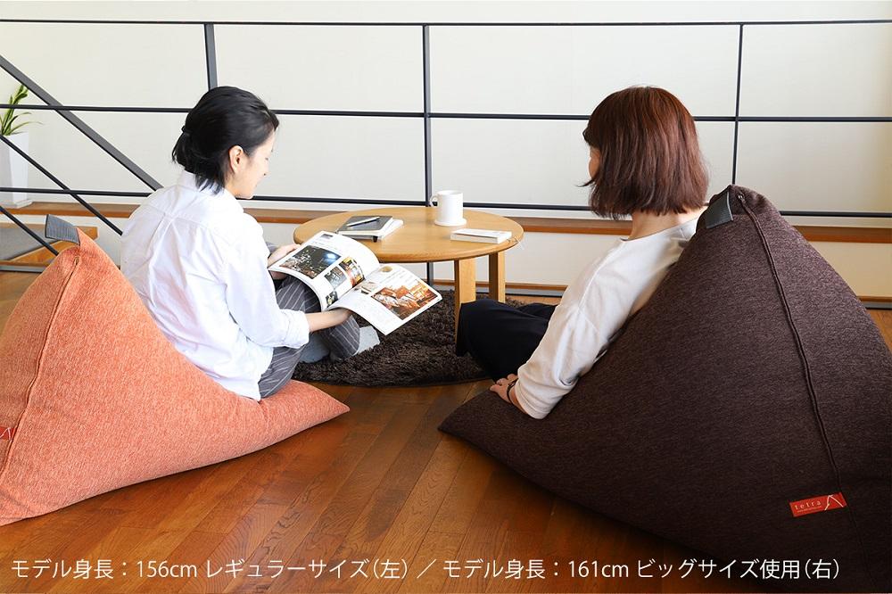 【大東寝具】tetra シェニール（ビッグサイズ）【ビーズクッション座椅子】（セラドングリーン）［ 京都 寝具 老舗 クッション 人気 おすすめ くつろぎ 寝ごこち お取り寄せ 通販 送料無料 ふるさと納税 ］