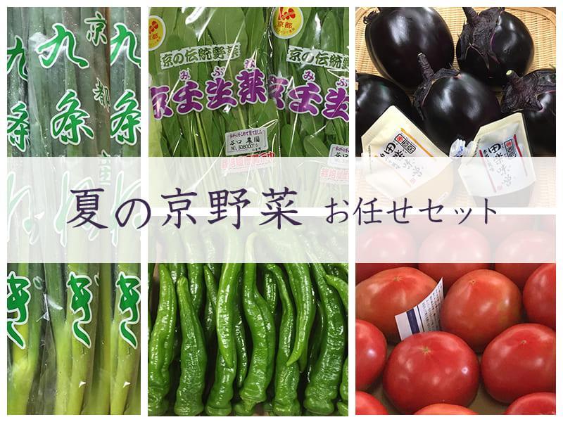 【京野菜・果物 美方屋】創業70年 美方屋厳選！季節の京野菜お任せセット