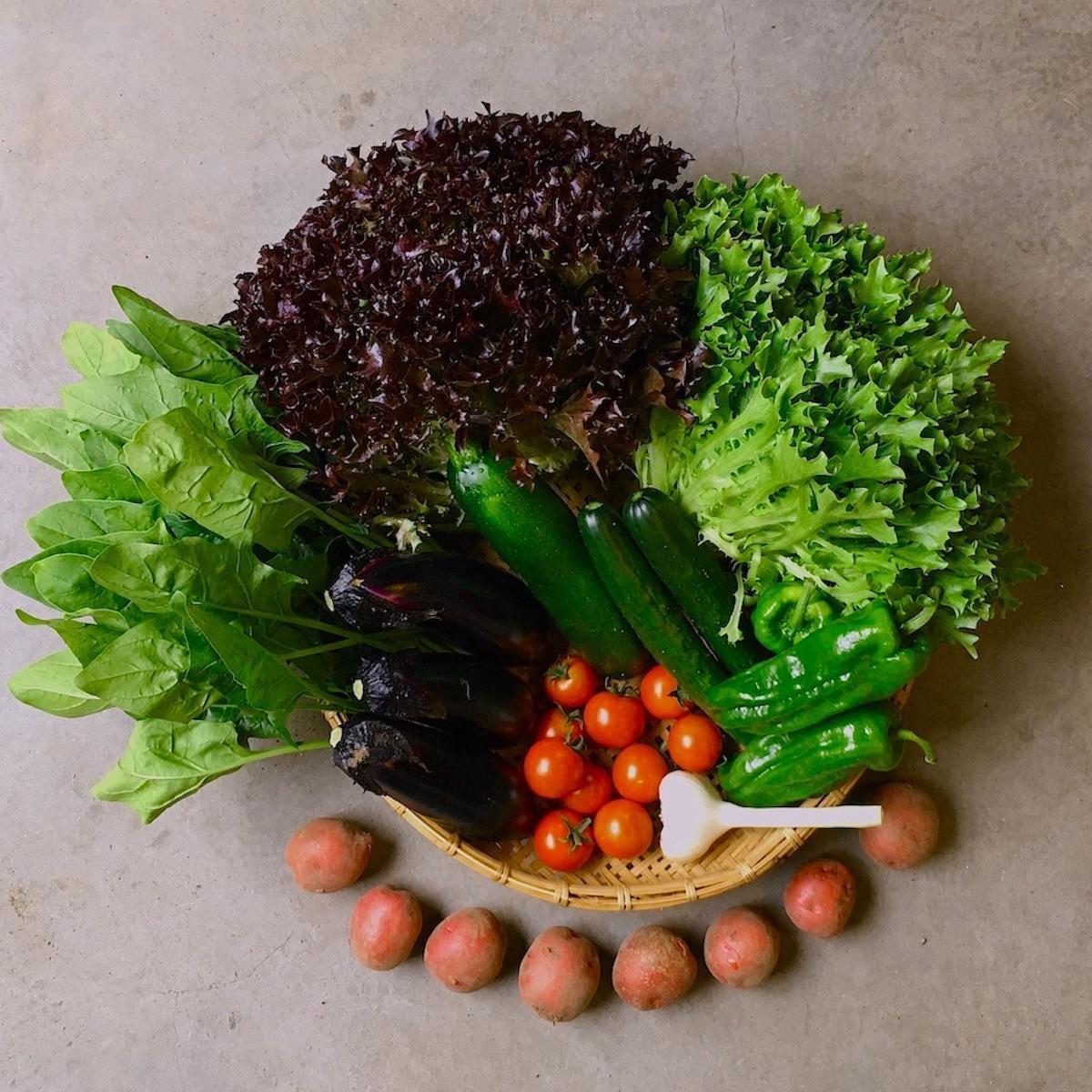 ◆全12回定期便◆【つくだ農園】《有機JAS認証 有機野菜10品入り》京都の棚田大原で心を込めて大切に露地栽培された大地の恵みたっぷりの有機野菜!［ 有機野菜 京都 野菜 有機栽培 定期便 セット 季節の野菜 おまかせ 詰め合わせ 産地直送 新鮮 ミシュラン 錦市場 人気 送料無料 おすすめ ふるさと納税 ］