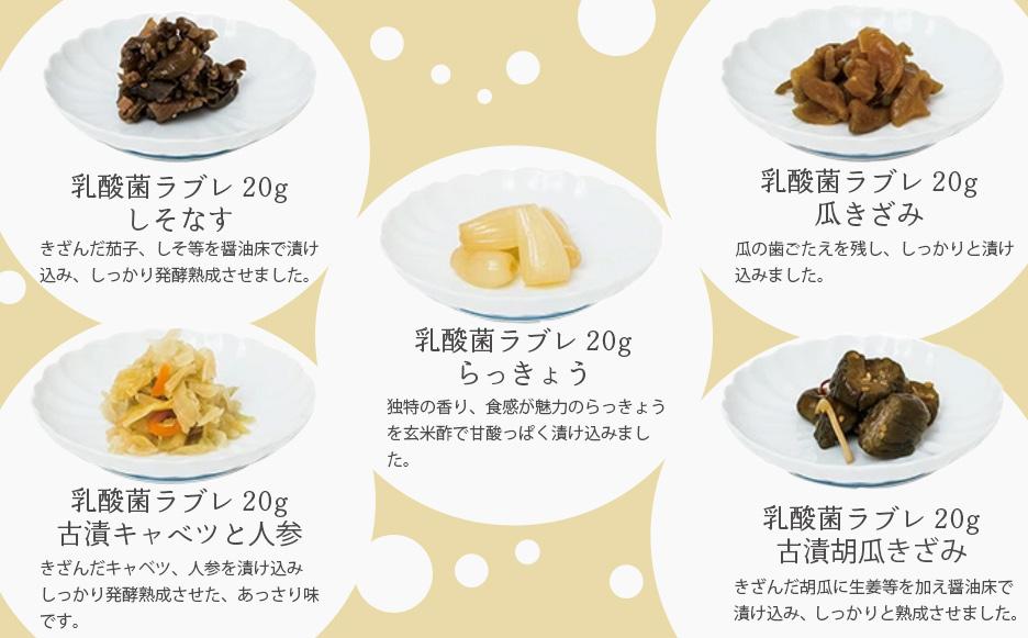 【高島屋選定品】京つけもの西利 乳酸菌ラブレ20g（20日間セット）10種各2個/計20個