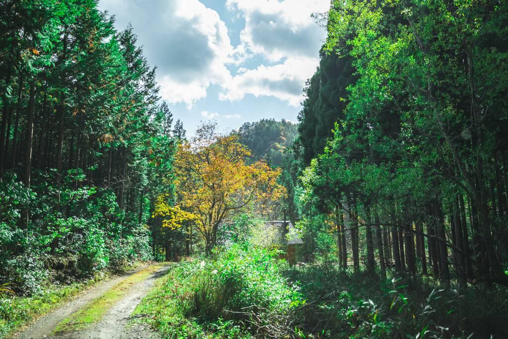 【夢びと】京都祭コインcomo 20.000円分