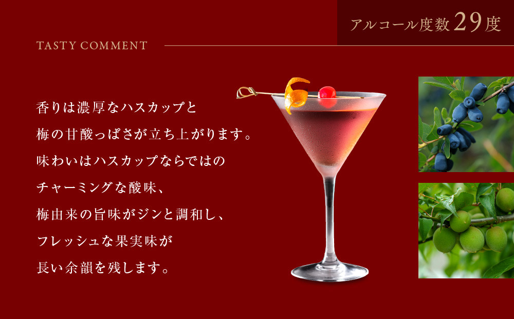 【京都蒸溜所】季の梅 京都プラムアンドベリーリキュール 700ml×1本+季の美 200ml 1本 |プレミアム クラフトジン スピリッツ 人気セット［ 京都 お酒 ジン ドライジン スピリッツ 人気 おすすめ こだわり 蒸留 蒸留酒 蒸留所 ］