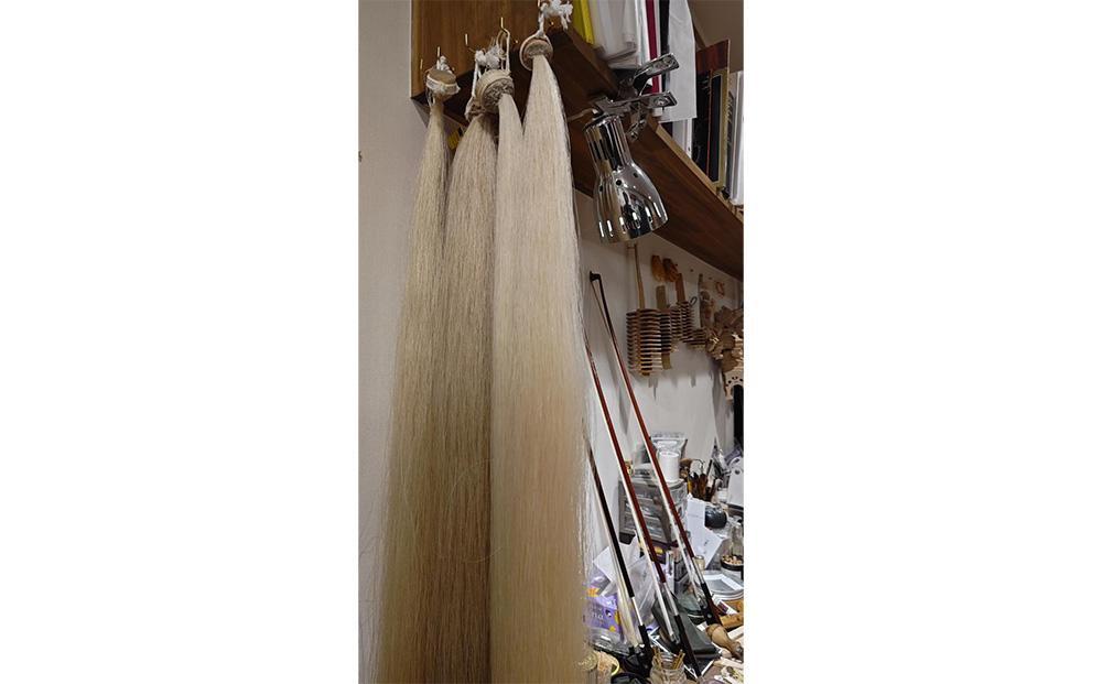 【高島屋選定品】〈Liuteria-TAKADA〉マエストロリュータイオによる弦楽器のためのメンテナンスチケット5万円分［ 弦楽器専門店  メンテナンス チケット 利用券 弦楽器 京都市 アトリエ マエストロ 監修 楽器 音楽 趣味 人気  おすすめ 伝統技術 職人 クラシック 音楽教育 プレゼント ギフト 演奏 高品質 文化体験 ふるさと納税 ］