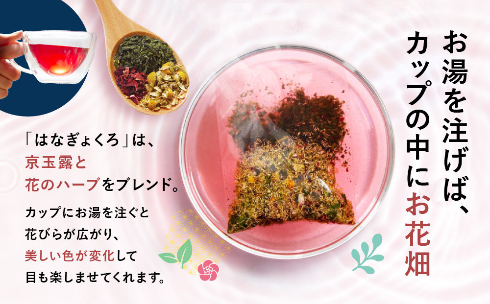 【京都ぎょくろのごえん茶】4色の玉露ハーブティー はなぎょくろ 飲み比べセット［ 京都 お茶 ハーブブレンド 玉露 ぎょくろ 人気 おすすめ 飲み比べ プレゼント ギフト お取り寄せ 通販 送料無料 ふるさと納税 ］