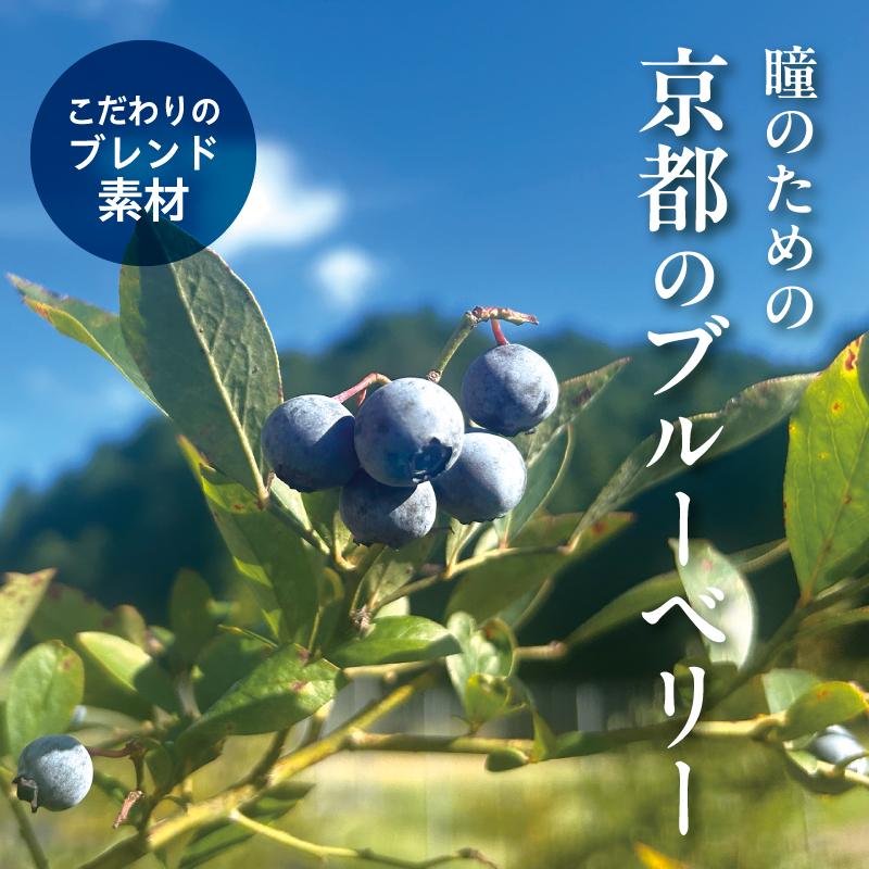 【わかさ生活】ブルーベリードライジン「Berry&Berry」700ml×1本 アルコール度数45度［ 京都 サプリ ブルーベリーアイ 売上No.1 人気 おすすめ お酒 酒 アルコール ジン 健康 お取り寄せ 通販 ふるさと納税 ］