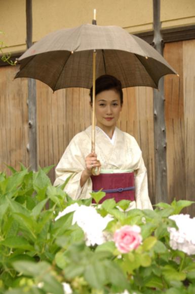 【日吉屋】ぱらそる(和風日傘) 輪とんぼ（グレー）