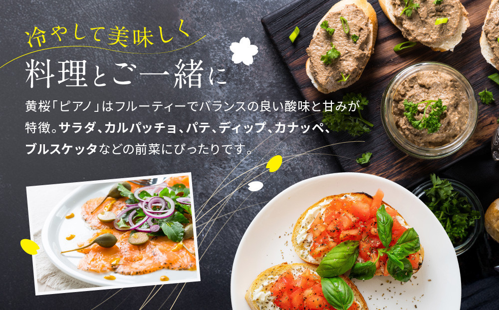 【黄桜】ピアノ (300ml×12本)［ キザクラ カッパ 京都 お酒 スパークリング日本酒  炭酸 純米酒 清酒 地酒 ご当地 日常使い 宅飲み 家飲み 晩酌 人気 おすすめ 定番 ギフト プレゼント 贈答 ご自宅用 お取り寄せ おいしい 送料無料 ふるさと納税 ］