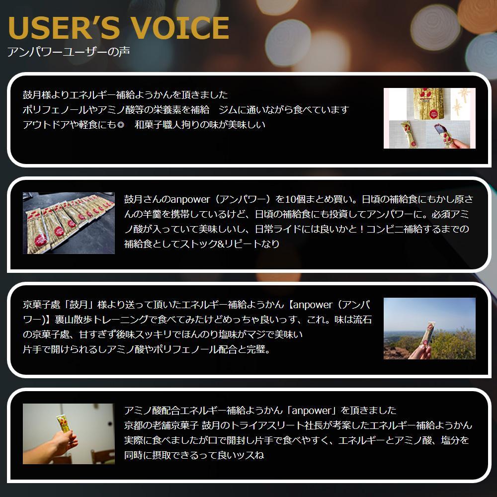 ＜定期便・年4回＞ 【鼓月】エネルギー補給羊羹 anpower 4箱（5本入×4） ［ 京都 老舗 和菓子 千寿せんべい 有名店 スポーツ羊羹 人気 おすすめ お菓子 スイーツ 補給食 お取り寄せ 通販 ギフト プレゼント 贈答 ふるさと納税 ］