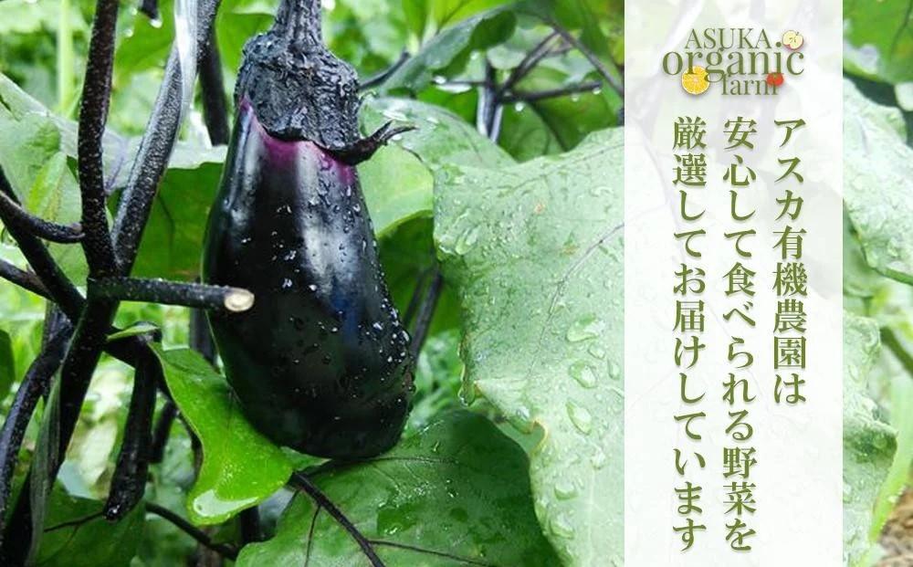 〈4ヶ月定期便〉【アスカ有機農園】旬のこだわり京野菜セットS