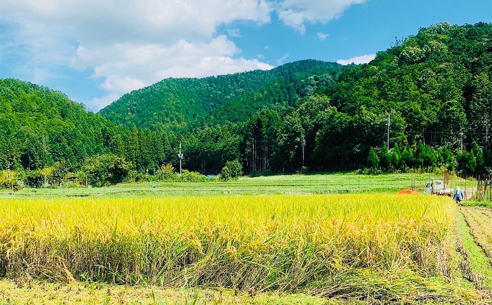【京都岩倉坂原米作りプロジェクト】京都さかばら 角質ケアハンドクリーム(60g×2本)｜美容 コスメ 人気［ 京都 人気 おすすめ 米 コメ ギフト プレゼント 贈答 お取り寄せ 通販 送料無料 ふるさと納税 ］
