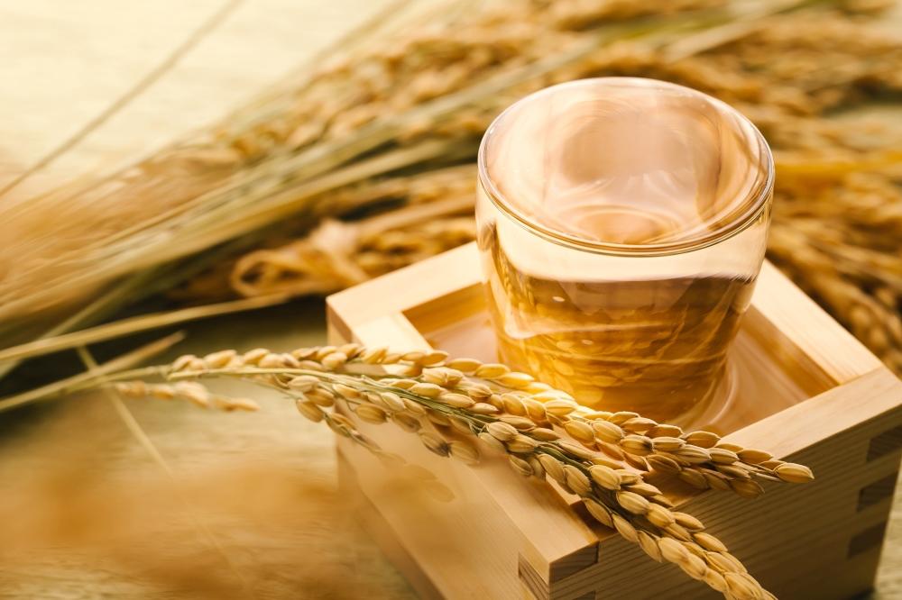 【月桂冠】月桂冠 超特撰 特別純米 純金箔入１.８Lびん詰×1本　［京都 伏見 お酒 清酒 純米 人気 おすすめ 定番 贈答 ご自宅用 お取り寄せ おいしい 通販 送料無料 ふるさと納税］