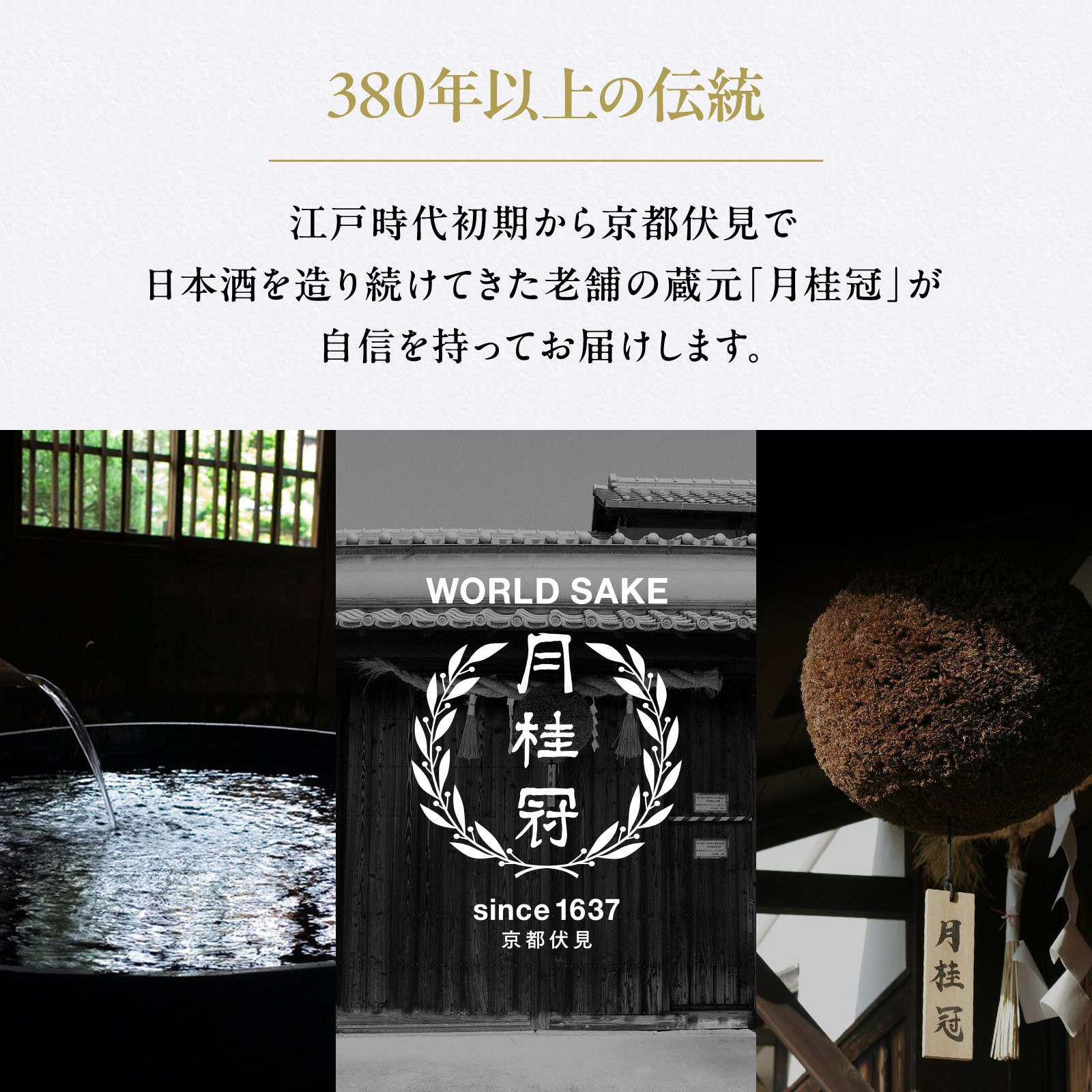 【月桂冠】山田錦純米パック900ｍL×6本｜京都 月桂冠 日本酒 人気セット[ 鮮烈なキレ 豊かなコク 山田錦5割超 純米酒 紙パック お酒 日本酒 晩酌 日常使い ご自宅用 人気 おすすめ ギフト プレゼント お取り寄せ 通販 送料無料 ふるさと納税］