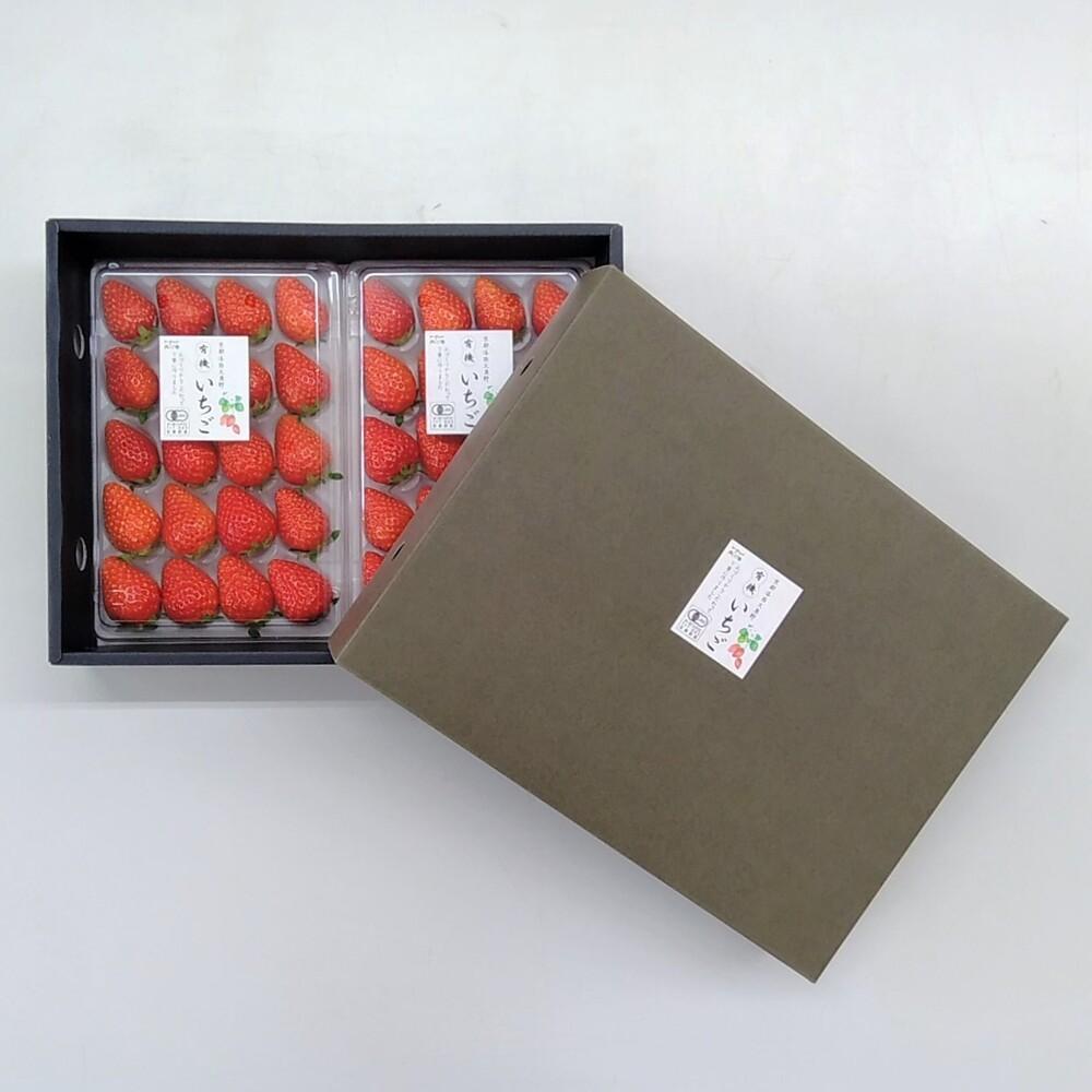 ＜予約受付＞【オーガニックnico】おふくわけいちご　＜京都洛西大原野産　有機JAS認定＞［ 京都 有機 JAS認定 オーガニック 人気 おすすめ 果物 フルーツ お取り寄せ 通販 送料無料 ふるさと納税 ］