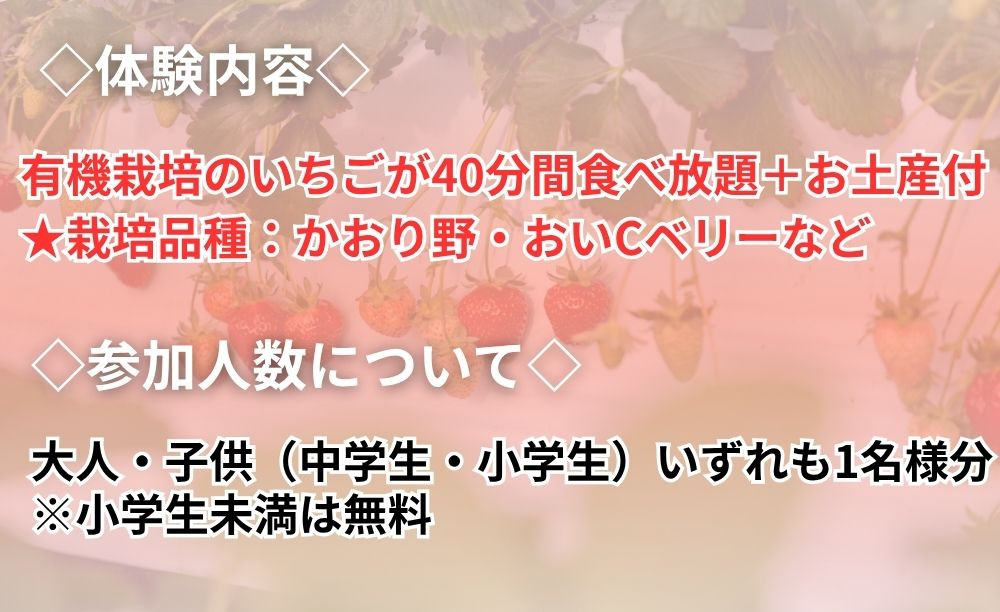 【オーガニックnico】有機栽培のいちご狩り1名分(2026年3月～4月開催)｜京都 大原野 いちご 食べ放題 人気 おすすめ [ 有機いちご 40分いちご狩り＋お土産付き 幼児は無料 人気 おすすめ 果物 フルーツ フルーツ狩り ふるさと納税 ]